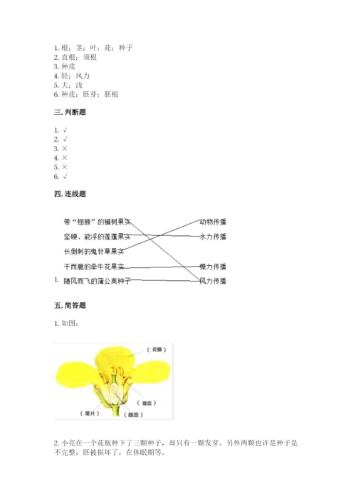 科学四年级下册第一单元植物的生长变化测试卷【名校卷】.docx