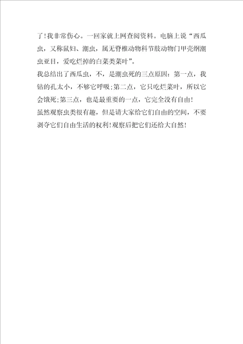 动物观察日记600字作文5篇