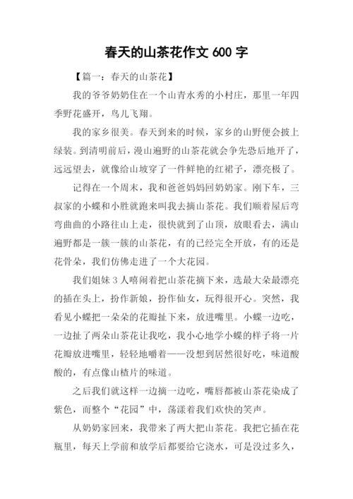 春天的山茶花作文600字.docx