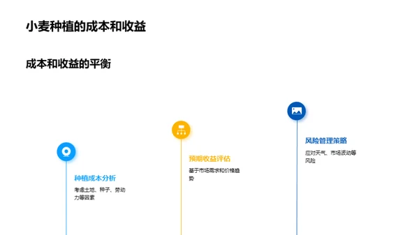 小麦种植：收益与挑战