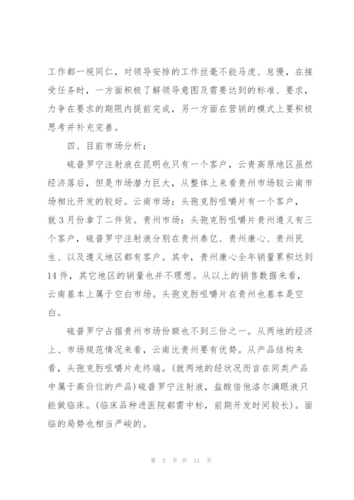 药品销售年度工作总结怎么写.docx
