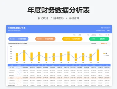 年度财务数据分析表