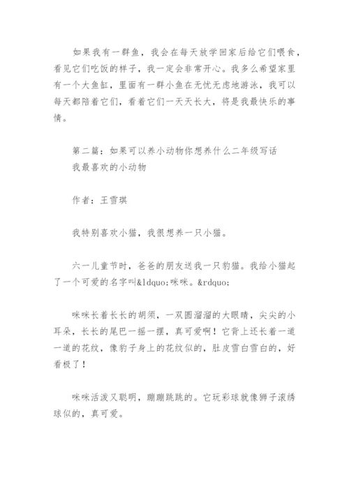 如果可以养小动物你想养什么二年级写话(精选4篇).docx