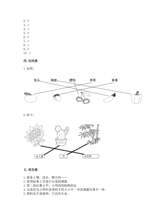 教科版一年级上册科学期末测试卷带答案ab卷.docx