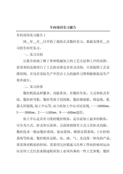 车间顶岗实习报告