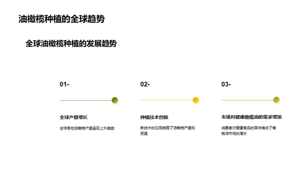 走进油橄榄种植盈利之道