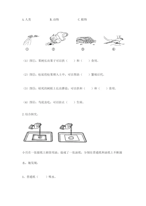 教科版小学二年级上册科学期末测试卷及参考答案（满分必刷）.docx