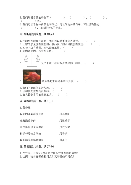 教科版一年级下册科学期末测试卷及参考答案【考试直接用】.docx
