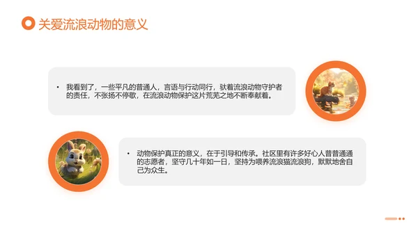 关爱流浪动物，流浪猫PPT模版