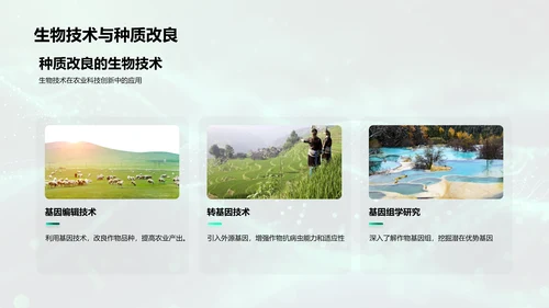 农业科研述职报告PPT模板