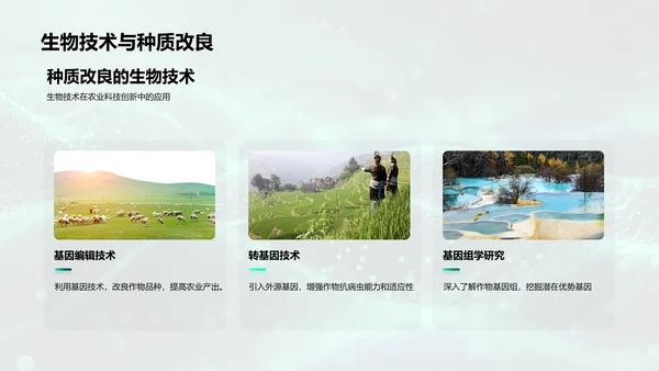 农业科研述职报告PPT模板