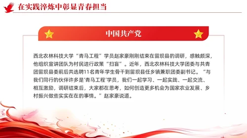 简约红色党建坚持深学实做激励挺膺担当主题教育PPT