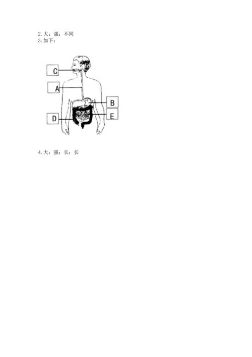 教科版科学四年级上册期末测试卷精品【基础题】.docx