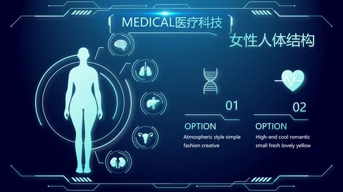 医院医疗科技信息化管理工作总结报告计划动态PPT模板