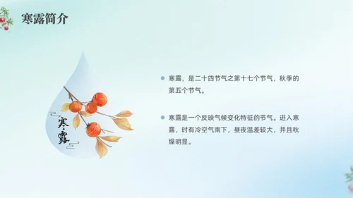彩色弥撒寒露养生二十四节气PPT课件