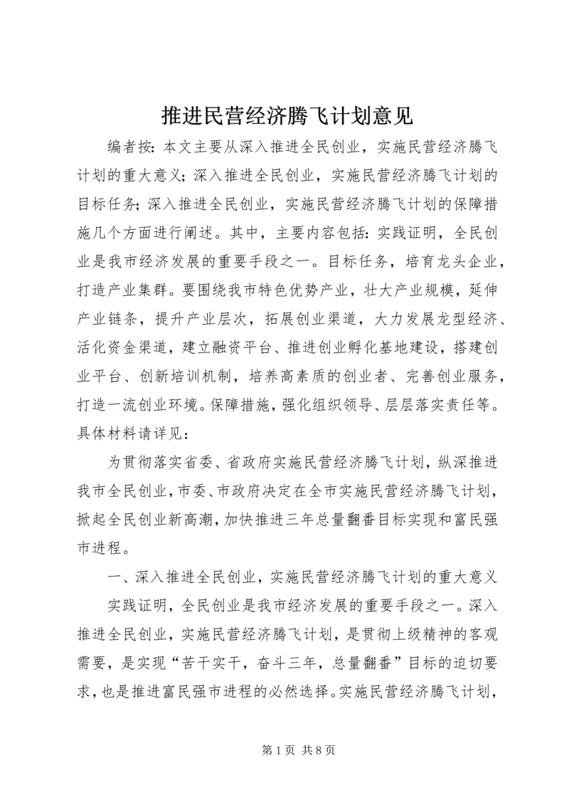 推进民营经济腾飞计划意见.docx