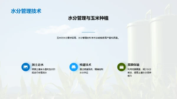 科技农业，玉米新纪元