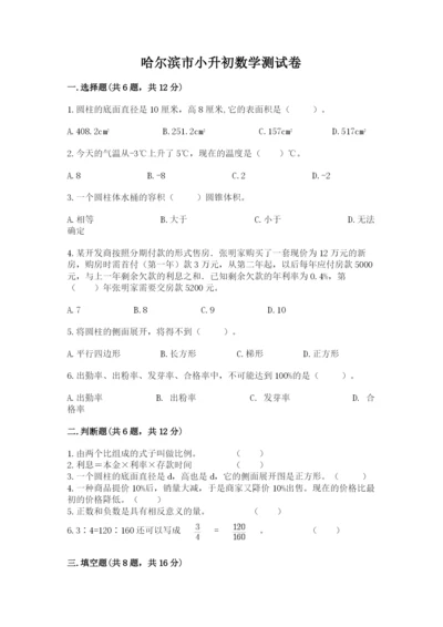 哈尔滨市小升初数学测试卷完美版.docx