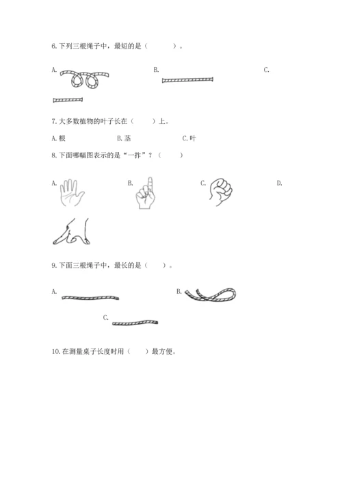 教科版一年级上册科学期末测试卷各版本.docx