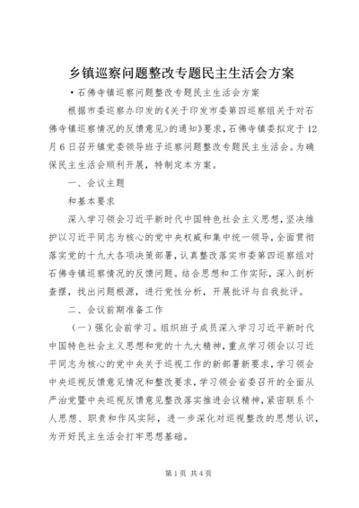 乡镇巡察问题整改专题民主生活会方案.docx