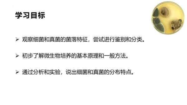 人教版生物八年级上册5.4.1《细菌和真菌的分布》课件(共22张PPT)