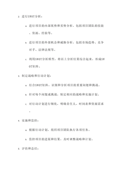 swot项目策划书