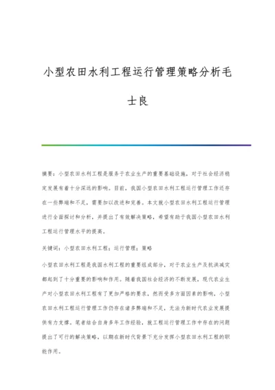 小型农田水利工程运行管理策略分析毛士良.docx