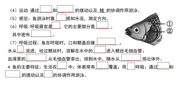 人教版生物八年级上册期末考试知识点汇总（课件）(共28张PPT)