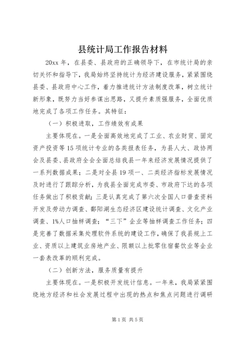 县统计局工作报告材料 (3).docx