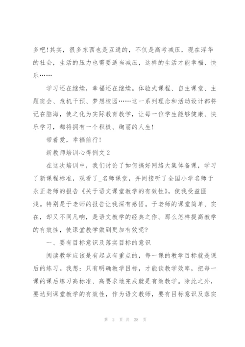 新教师培训心得例文10篇.docx