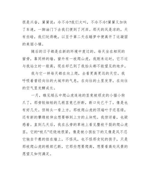 以远方为话题议论文800字,以远方为话题议论文范本3篇.docx