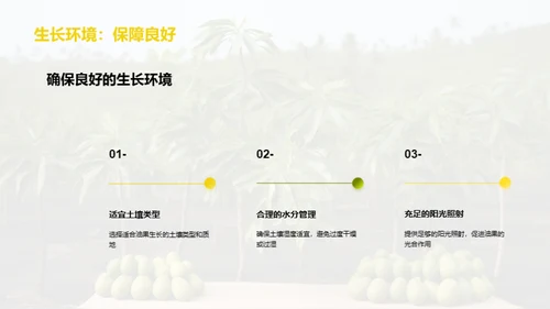 油果种植成功秘诀