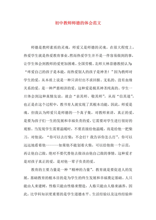 初中教师师德的体会范文.docx