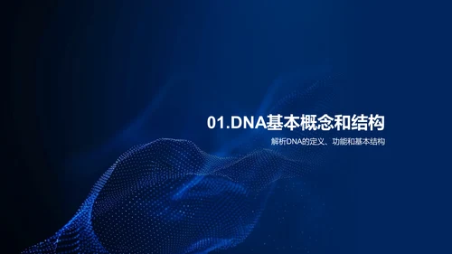 DNA结构与功能PPT模板