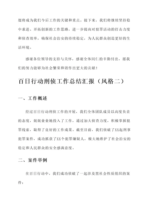 百日行动刑侦工作总结汇报