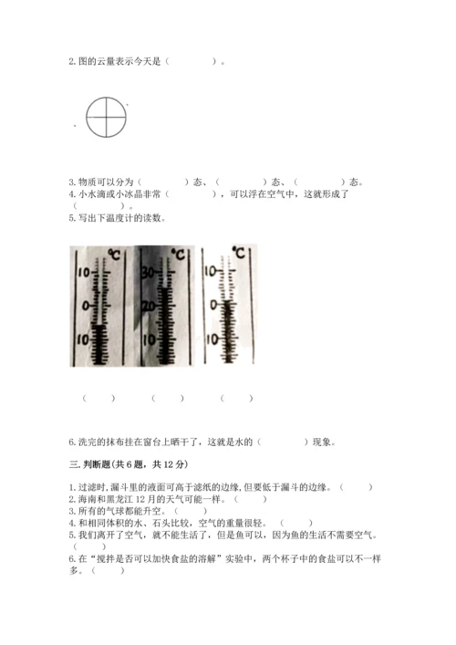 教科版三年级上册科学期末测试卷标准卷.docx