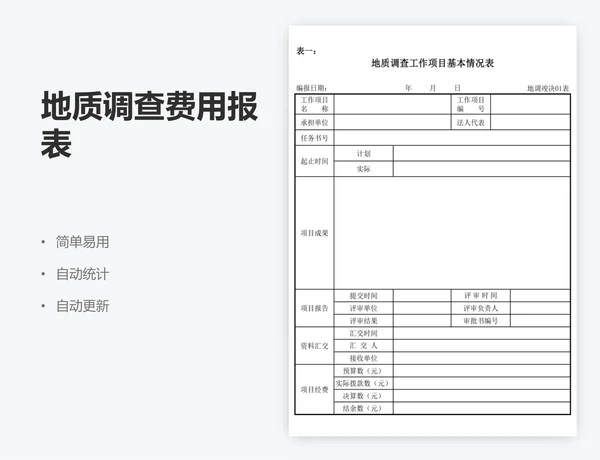 地质调查费用报表