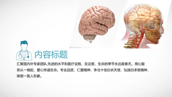 医学医疗大脑研究报告ppt动态模板
