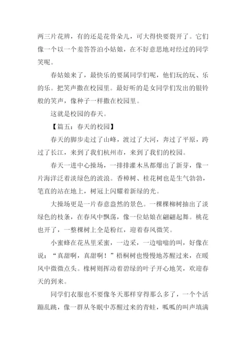 春天的校园作文300字.docx