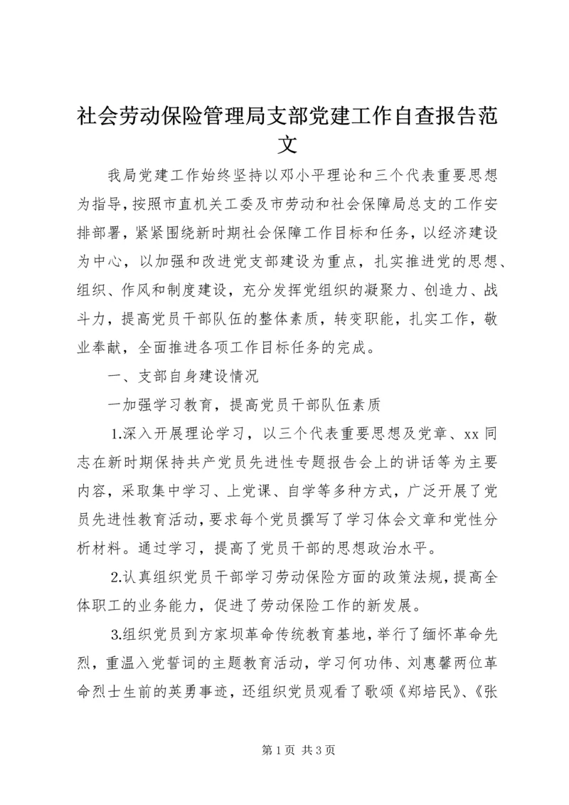 社会劳动保险管理局支部党建工作自查报告范文.docx