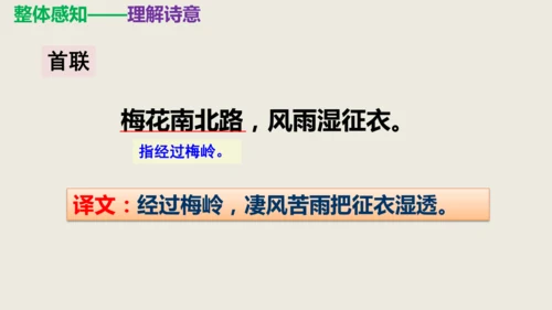部编版九下语文第六单元课外古诗之《南安军》 同步课件