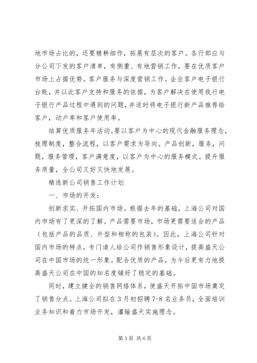 精选新公司销售工作计划.docx