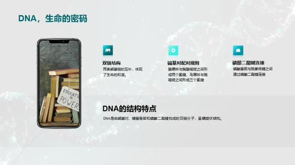 DNA提取全解析