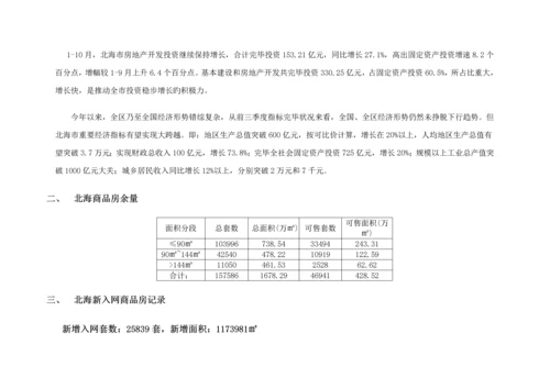 北海市场调研综合报告.docx
