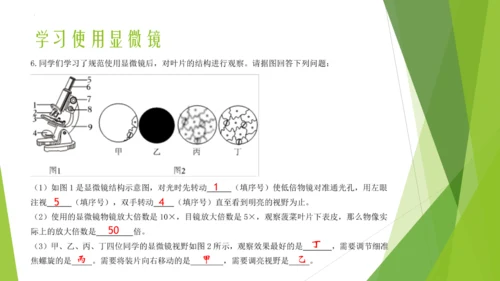 人教版七年级生物上册第一章认识生物第二章认识细胞复习课件(共23张PPT)