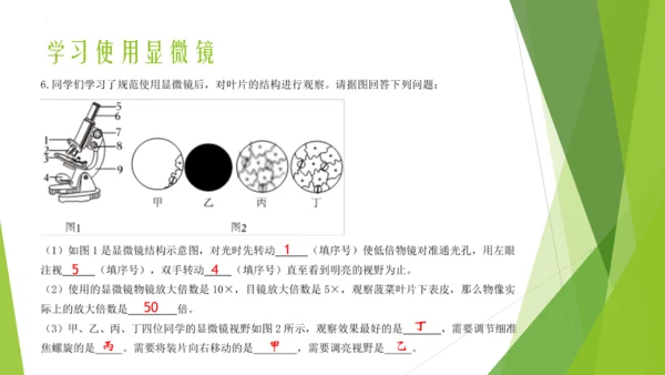 人教版七年级生物上册第一章认识生物第二章认识细胞复习课件(共23张PPT)