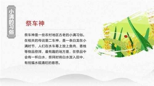 小满节气介绍PPT模板