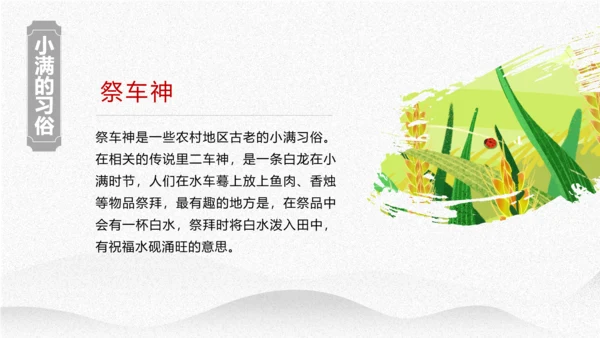小满节气介绍PPT模板