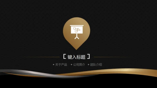 高端黑金商务商业计划书通用PPT模版