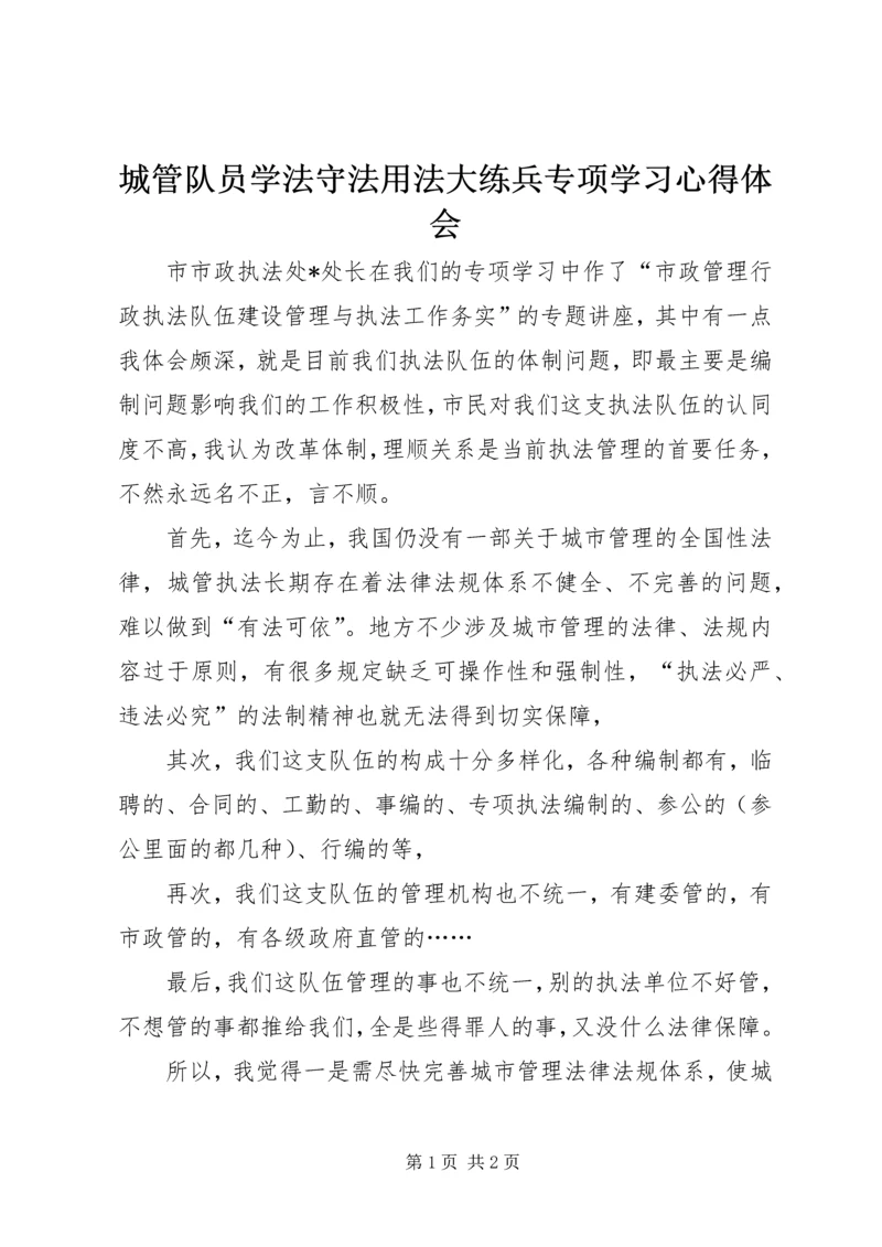 城管队员学法守法用法大练兵专项学习心得体会.docx